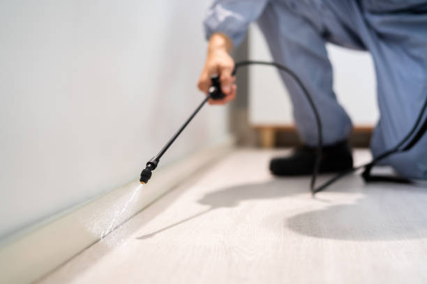 Bed Bug Pre-Treatment Preparation Assessment in Chevy Chase