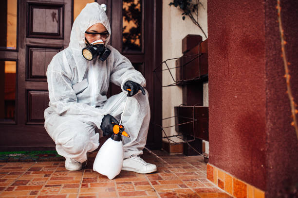 Multi-Unit and Airbnb Bed Bug Protocol in Chevy Chase