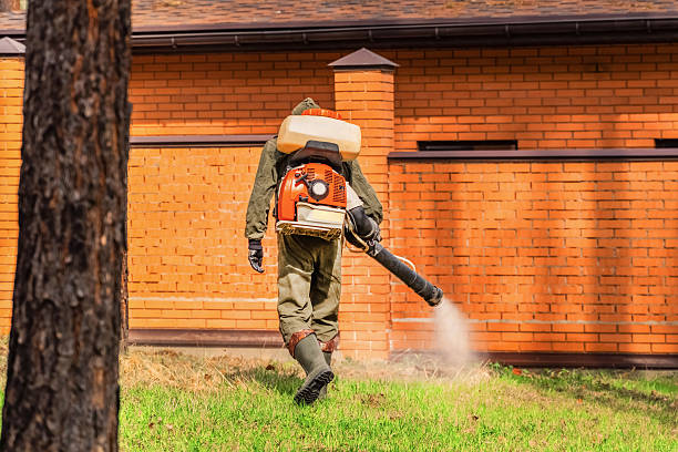 Bed Bug Clearance Verification and Documentation in Chevy Chase
